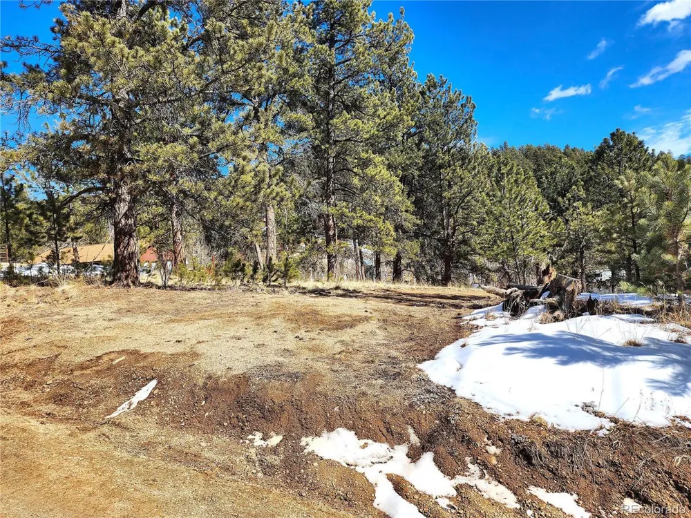 144 Gray Street Bailey, CO 80421