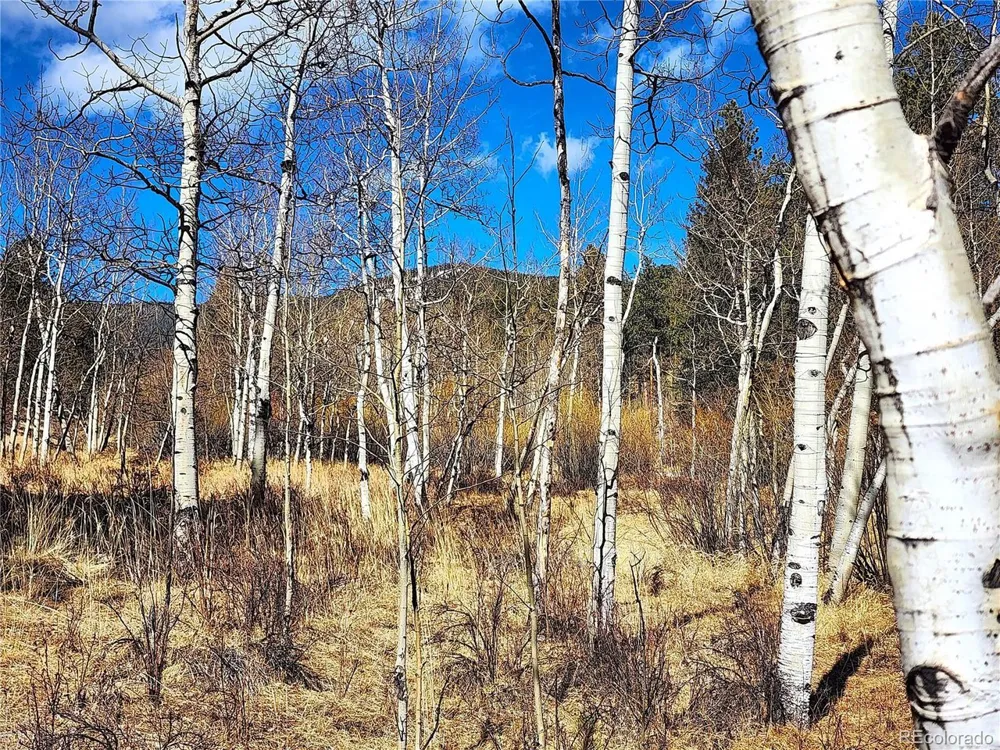 144 Gray Street Bailey, CO 80421