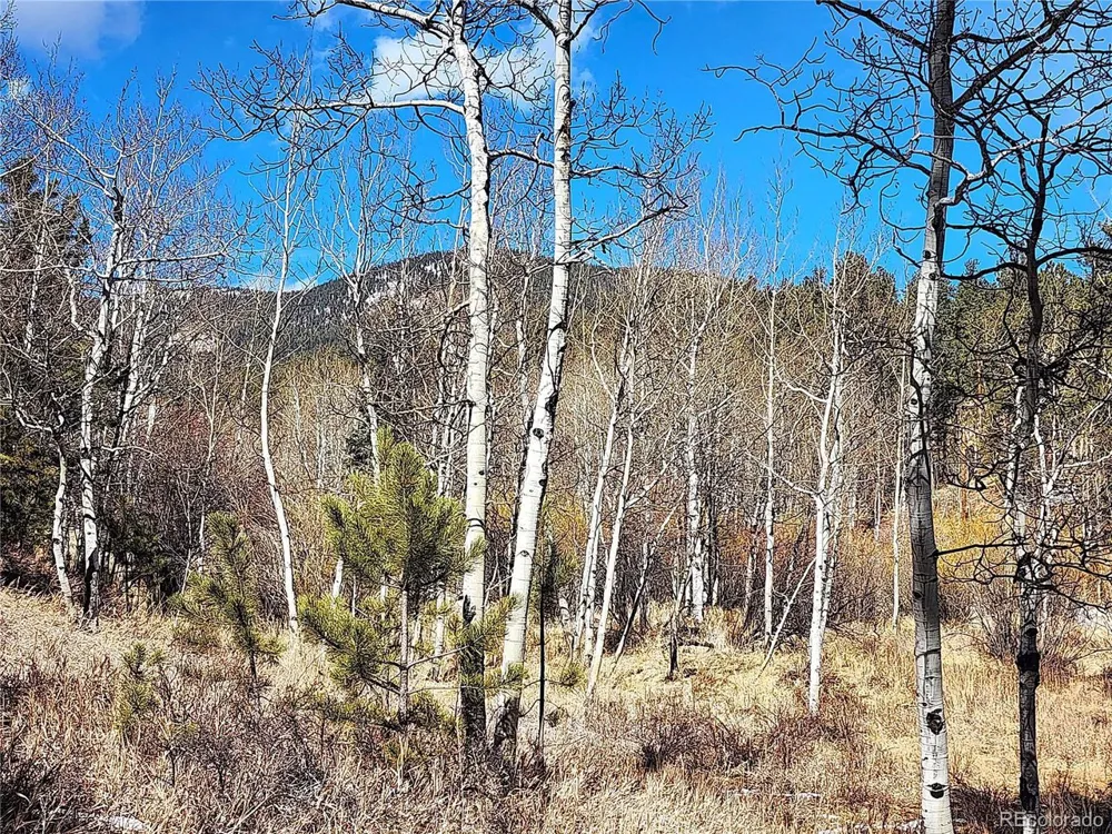 144 Gray Street Bailey, CO 80421