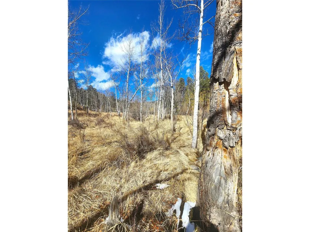 144 Gray Street Bailey, CO 80421