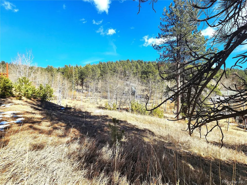 144 Gray Street Bailey, CO 80421