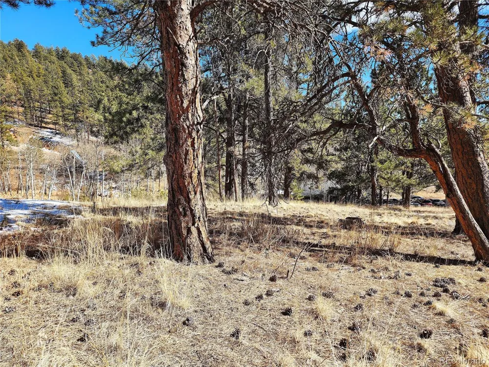 144 Gray Street Bailey, CO 80421
