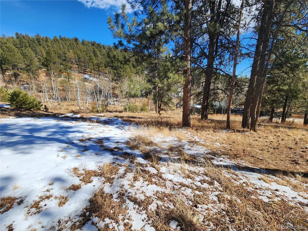 144 Gray Street Bailey, CO 80421