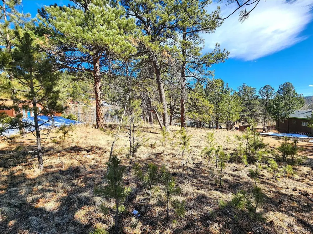 144 Gray Street Bailey, CO 80421