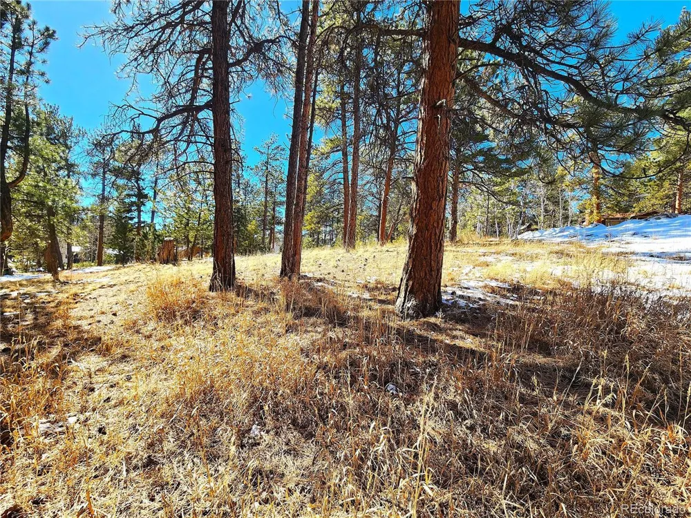 144 Gray Street Bailey, CO 80421