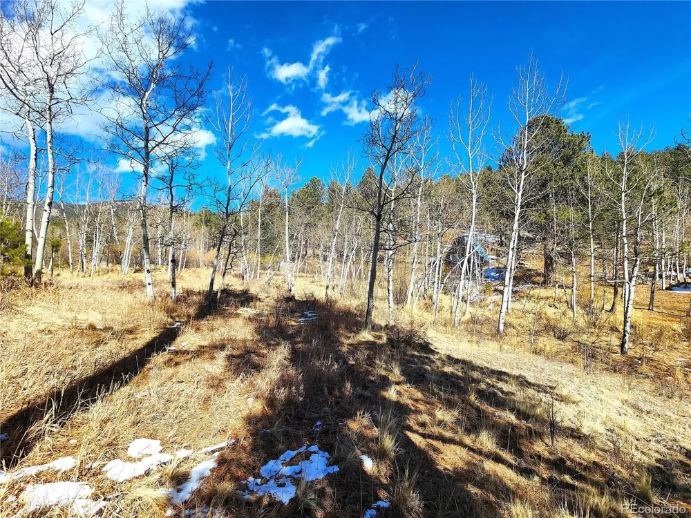 144 Gray Street Bailey, CO 80421