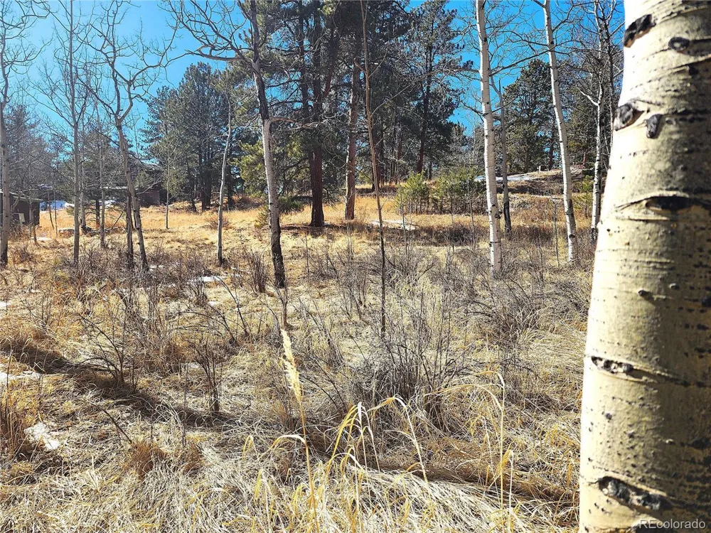 144 Gray Street Bailey, CO 80421