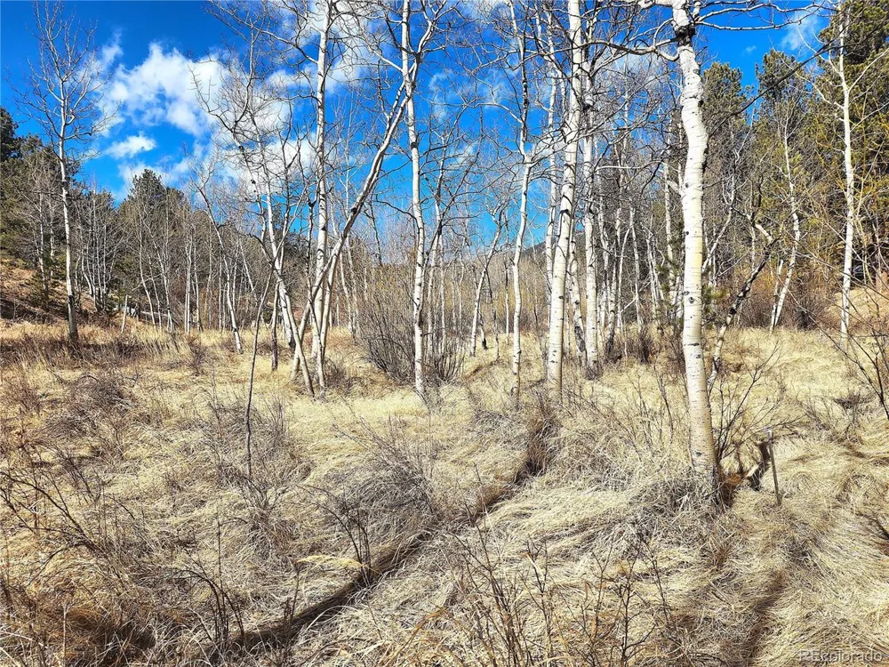 144 Gray Street Bailey, CO 80421