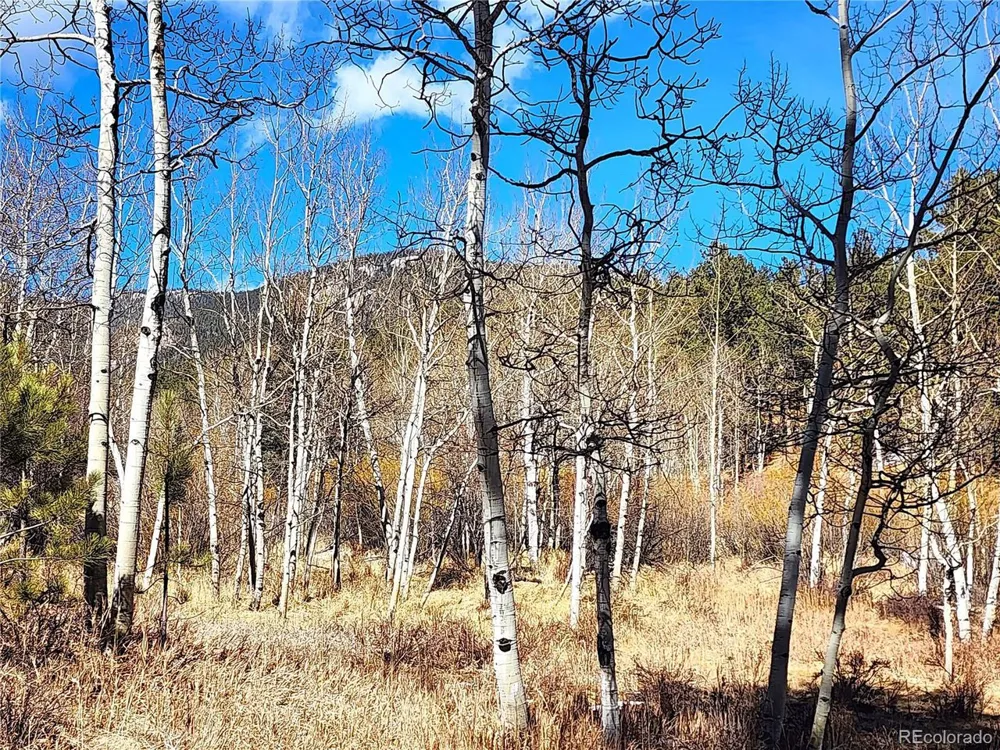 144 Gray Street Bailey, CO 80421