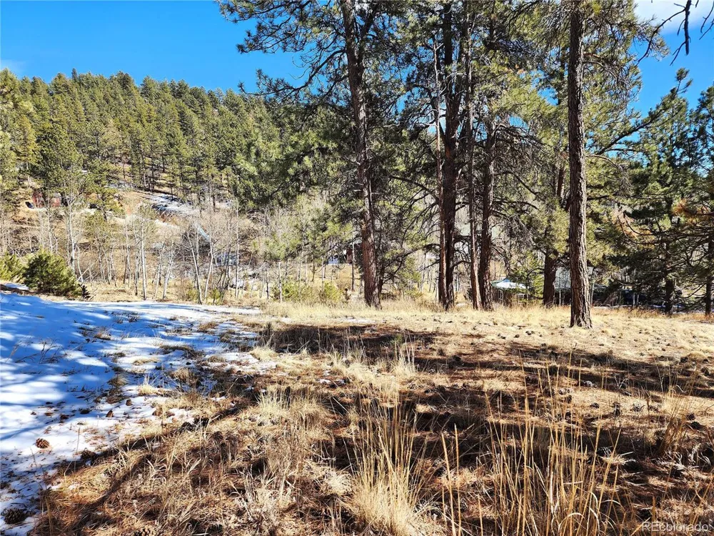144 Gray Street Bailey, CO 80421