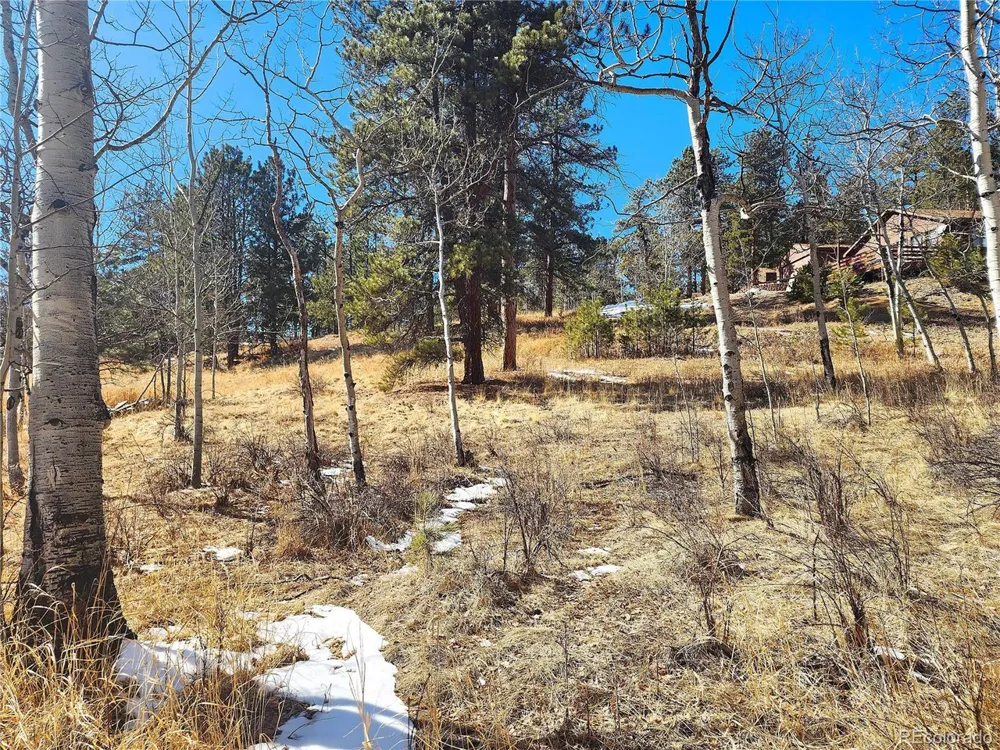 144 Gray Street Bailey, CO 80421