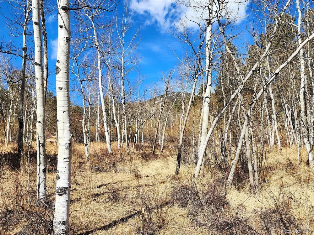 144 Gray Street Bailey, CO 80421