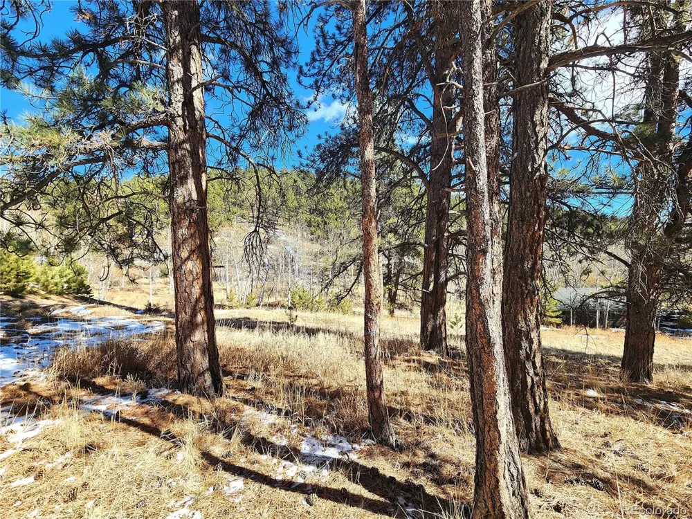 144 Gray Street Bailey, CO 80421