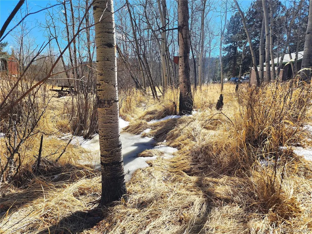 144 Gray Street Bailey, CO 80421
