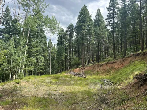 272 Fern Valley