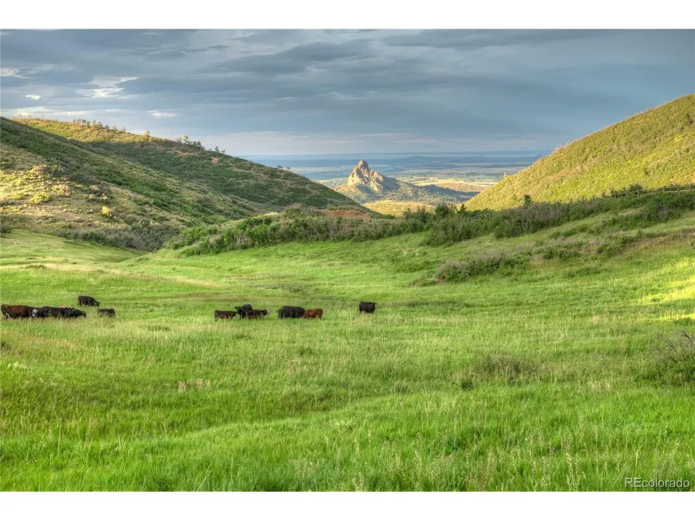 850 Rilling Canyon Road La Veta, CO 81055