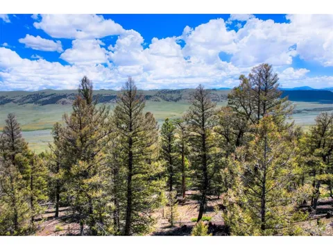 262 Middle Fork Vis