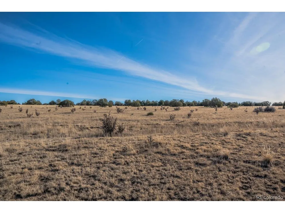 24 Hatchet Ranch Colorado City, CO 81019