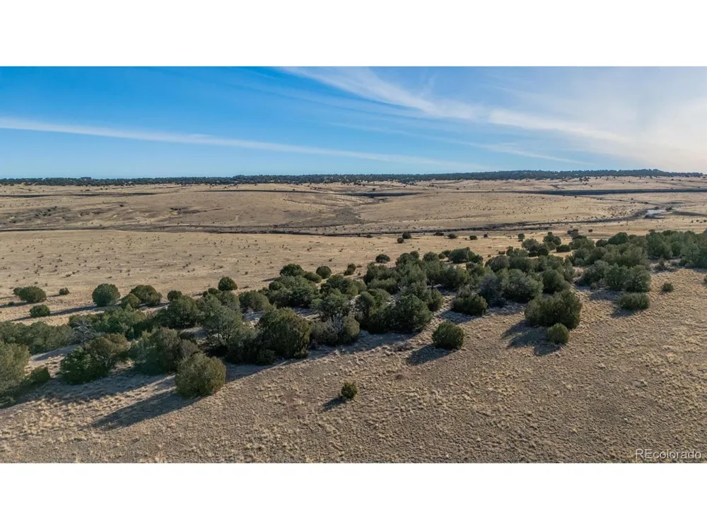 24 Hatchet Ranch Colorado City, CO 81019