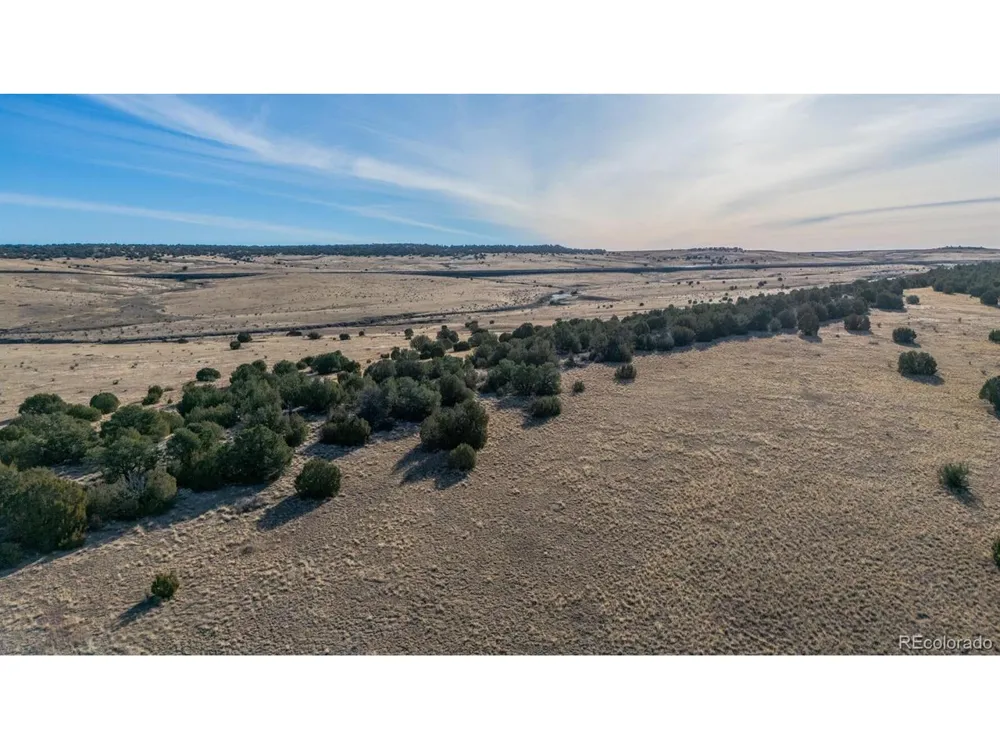 24 Hatchet Ranch Colorado City, CO 81019