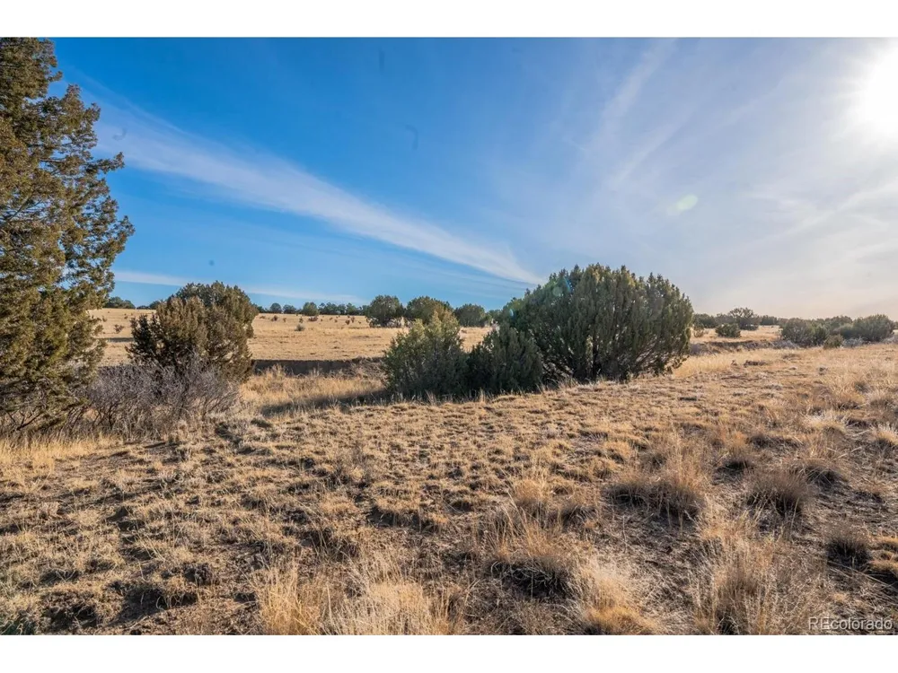 24 Hatchet Ranch Colorado City, CO 81019