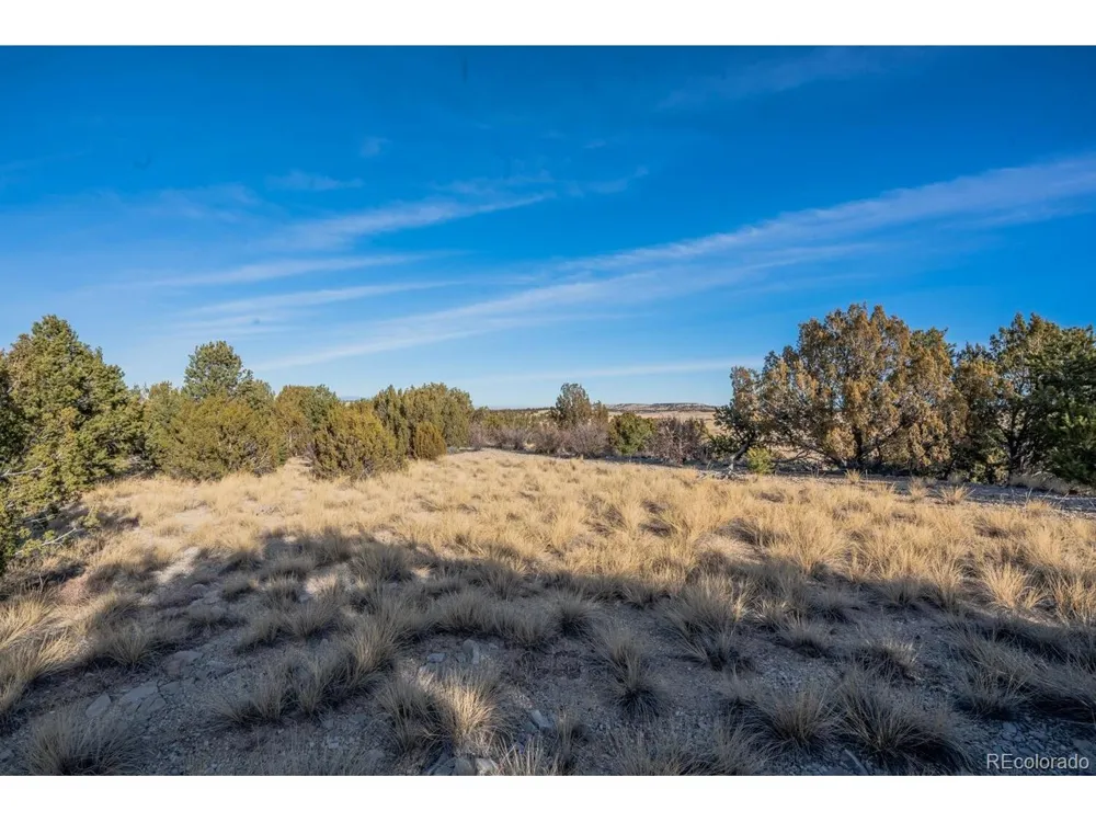 24 Hatchet Ranch Colorado City, CO 81019