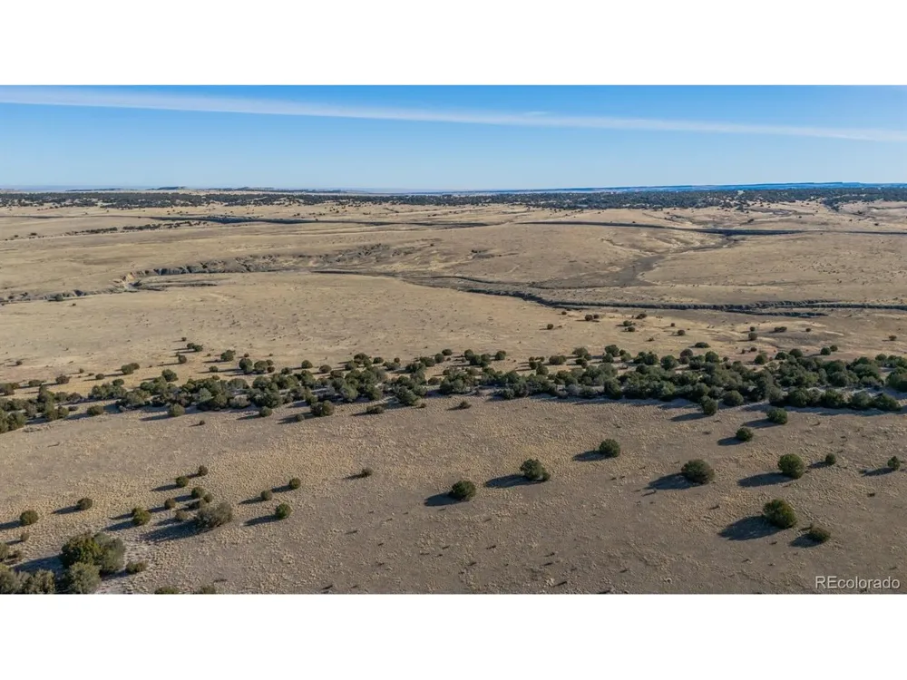 24 Hatchet Ranch Colorado City, CO 81019