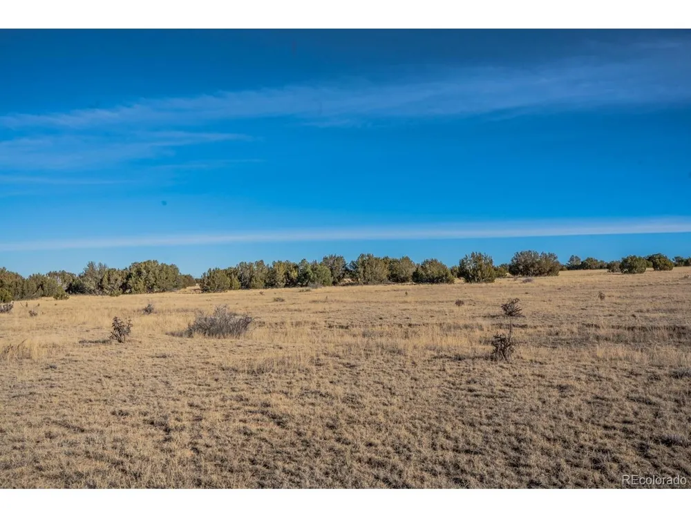 24 Hatchet Ranch Colorado City, CO 81019