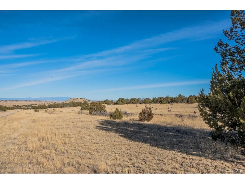 24 Hatchet Ranch Colorado City, CO 81019