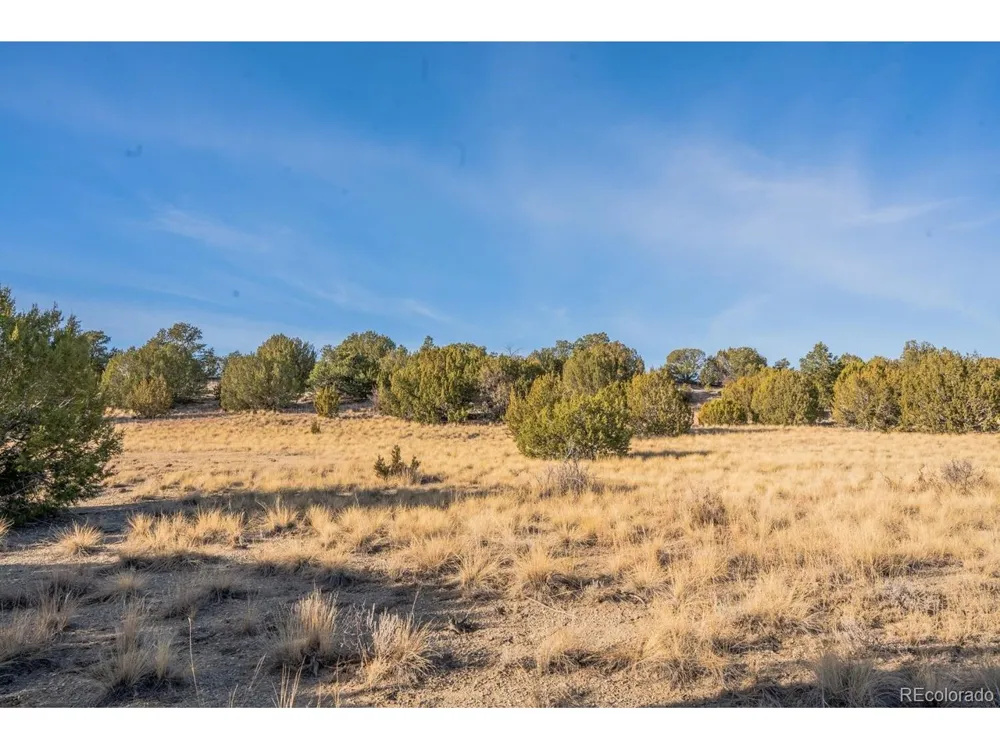 24 Hatchet Ranch Colorado City, CO 81019