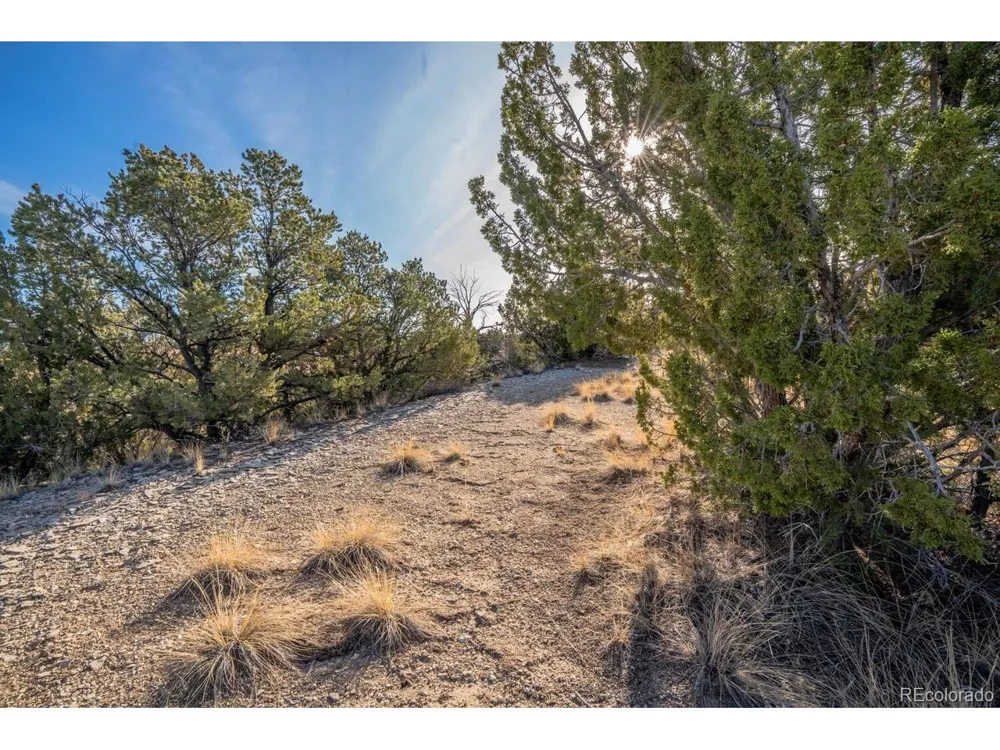 24 Hatchet Ranch Colorado City, CO 81019