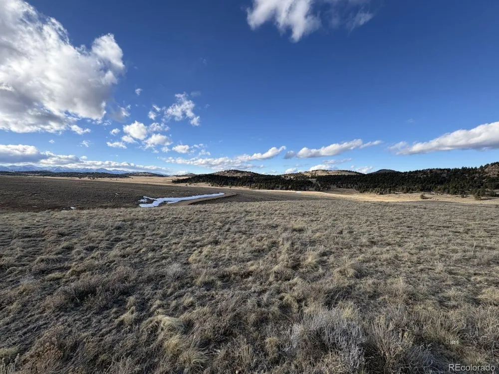 29 Eagle Springs Road Westcliffe, CO 81252