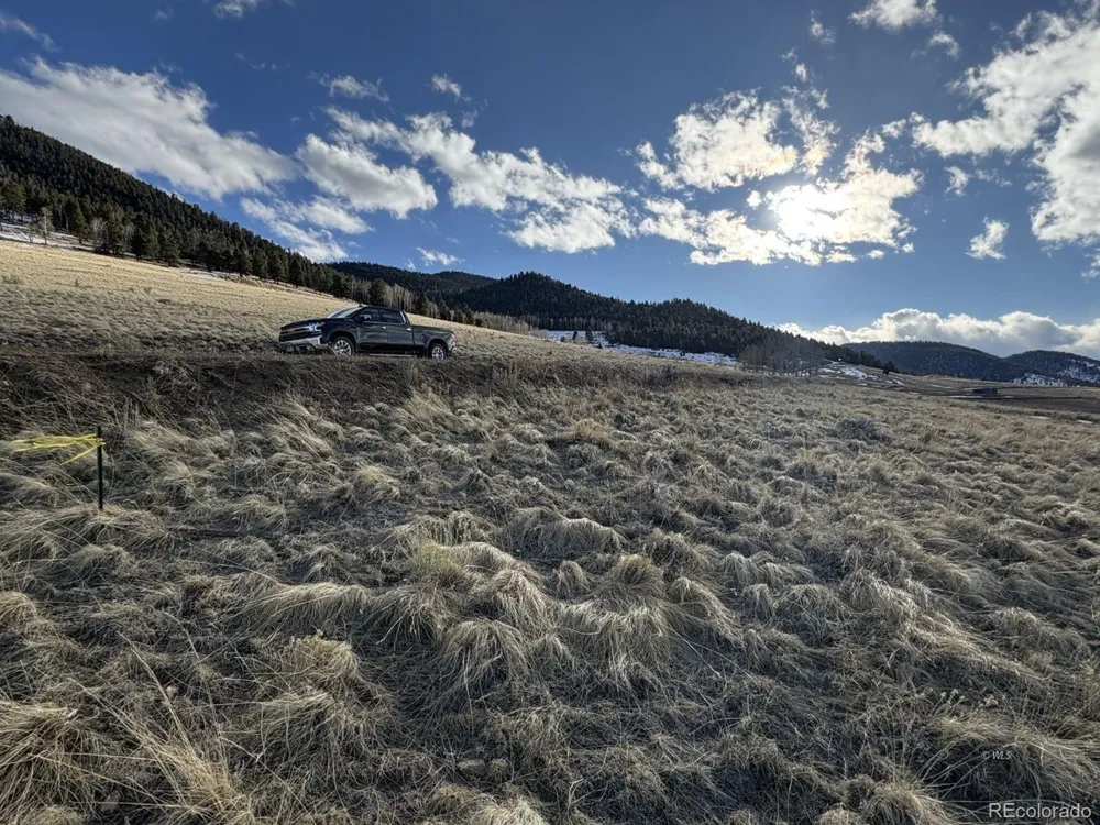 29 Eagle Springs Road Westcliffe, CO 81252