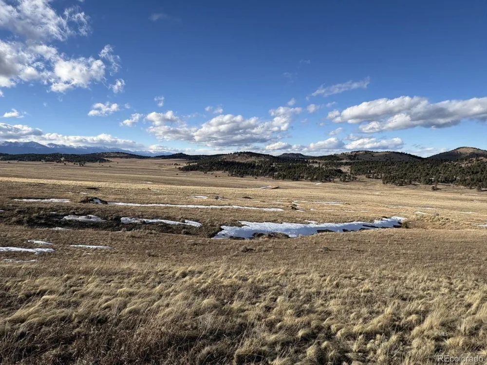 29 Eagle Springs Road Westcliffe, CO 81252