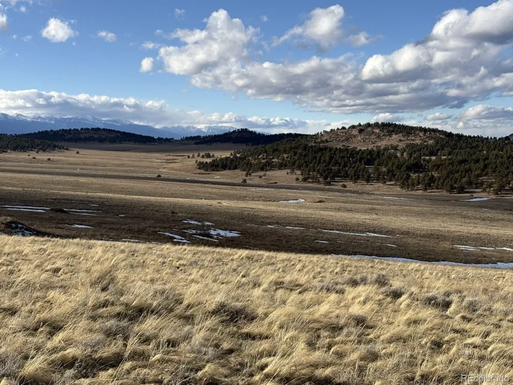 29 Eagle Springs Road Westcliffe, CO 81252