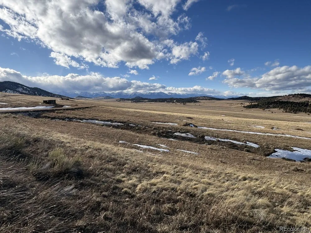 29 Eagle Springs Road Westcliffe, CO 81252