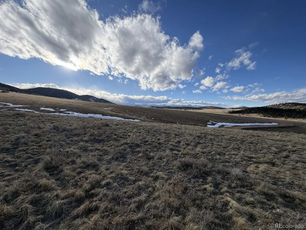 29 Eagle Springs Road Westcliffe, CO 81252