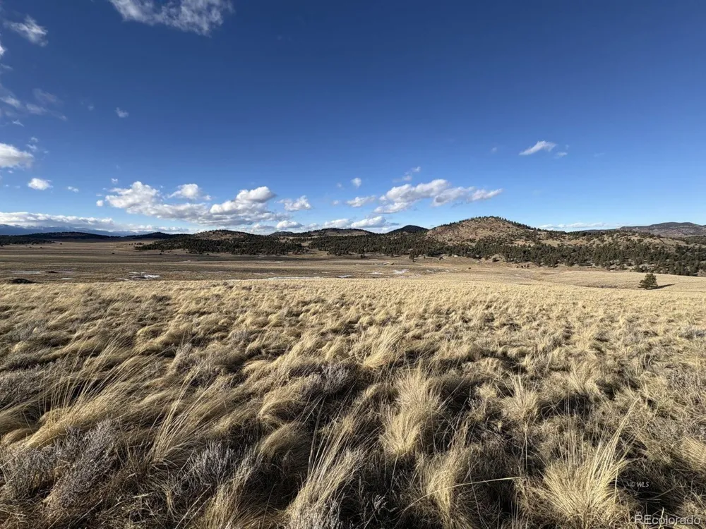 29 Eagle Springs Road Westcliffe, CO 81252