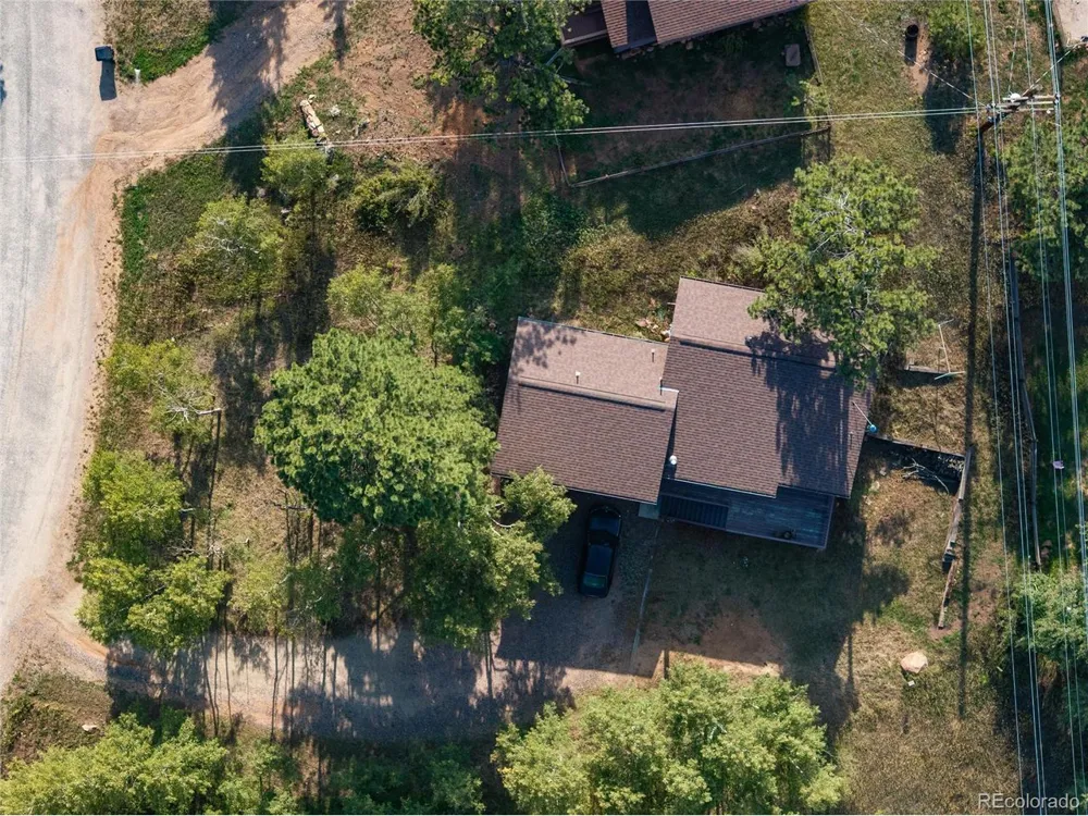 65 Silver Springs Road Bailey, CO 80421