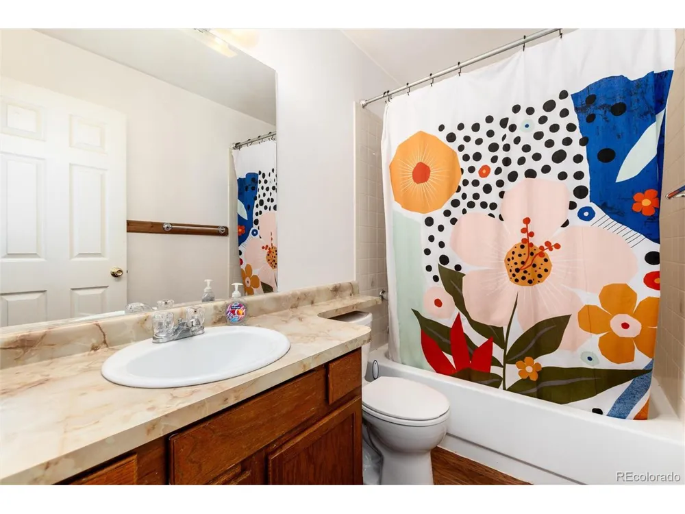 65 Silver Springs Road Bailey, CO 80421