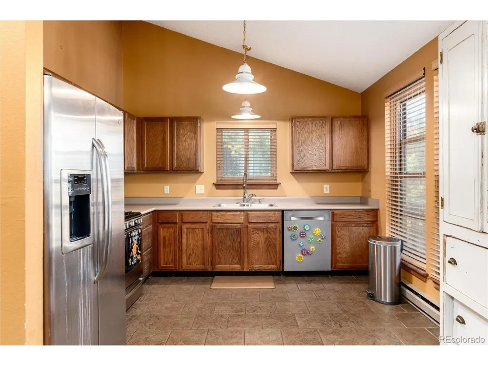 65 Silver Springs Road Bailey, CO 80421