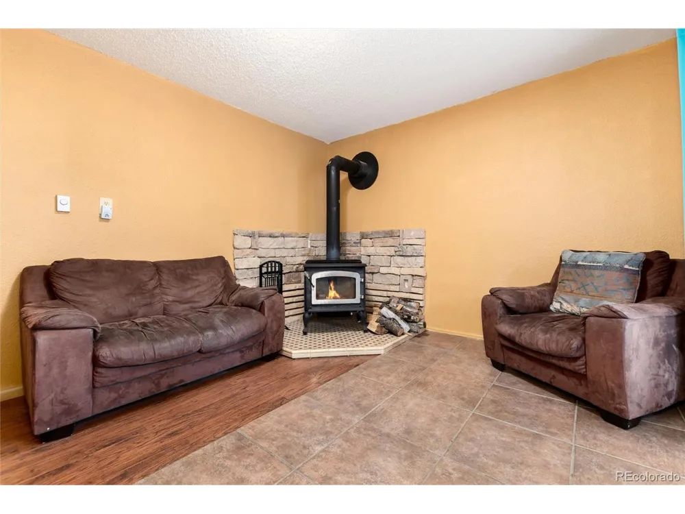 65 Silver Springs Road Bailey, CO 80421