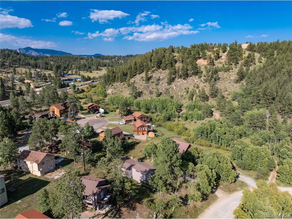 65 Silver Springs Road Bailey, CO 80421