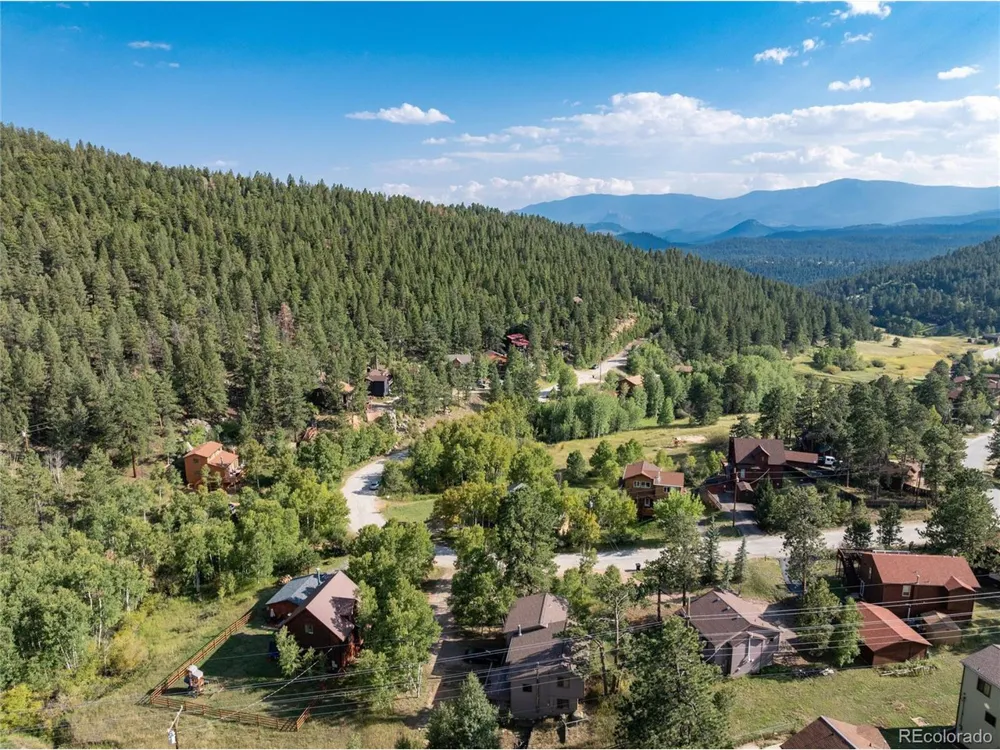 65 Silver Springs Road Bailey, CO 80421