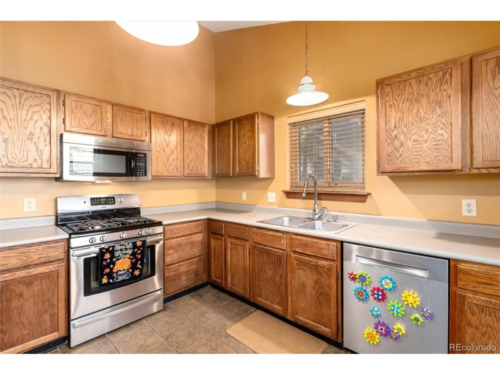 65 Silver Springs Road Bailey, CO 80421
