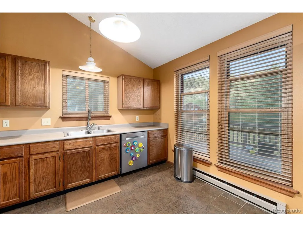 65 Silver Springs Road Bailey, CO 80421
