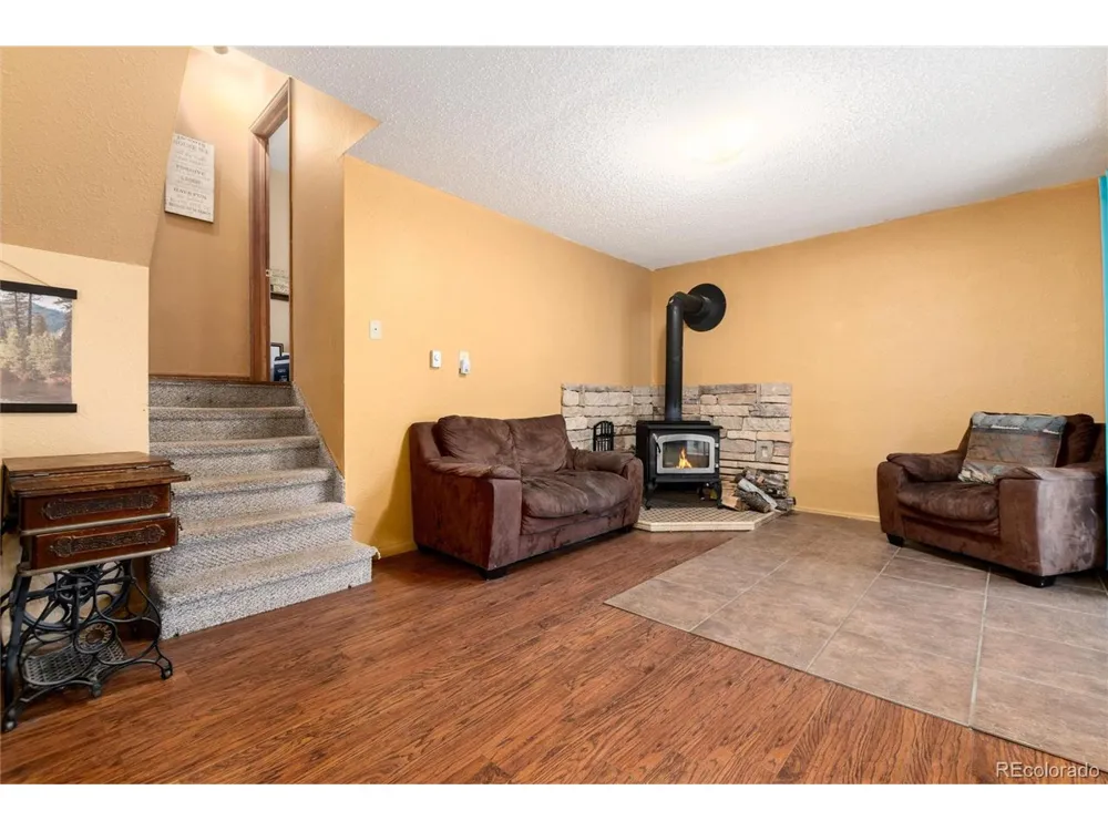 65 Silver Springs Road Bailey, CO 80421