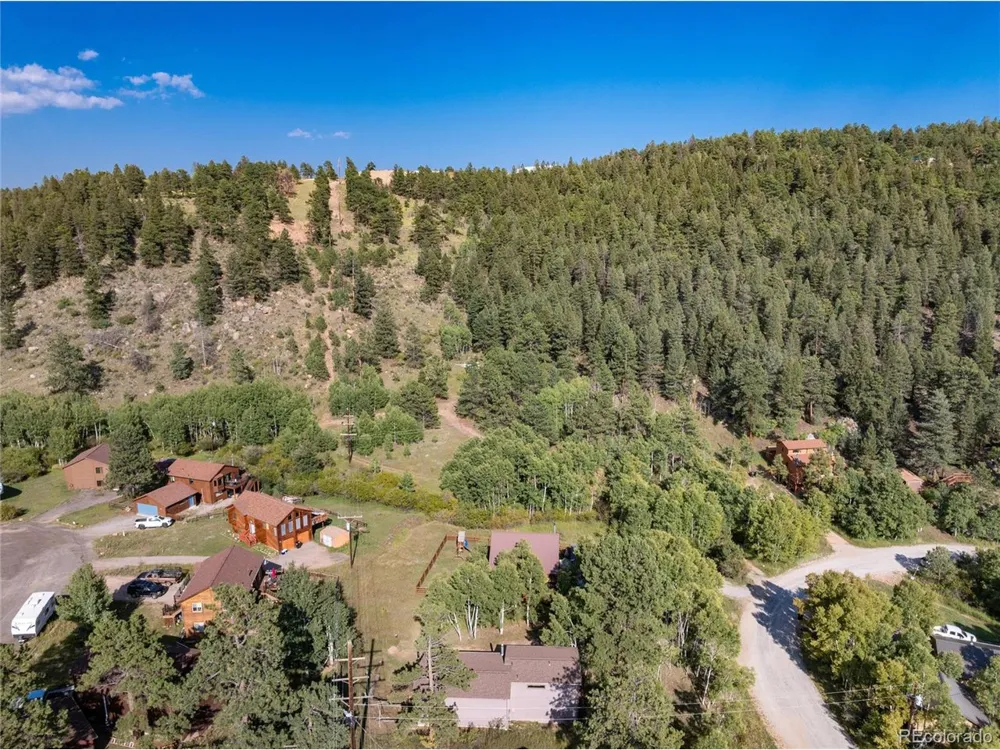 65 Silver Springs Road Bailey, CO 80421