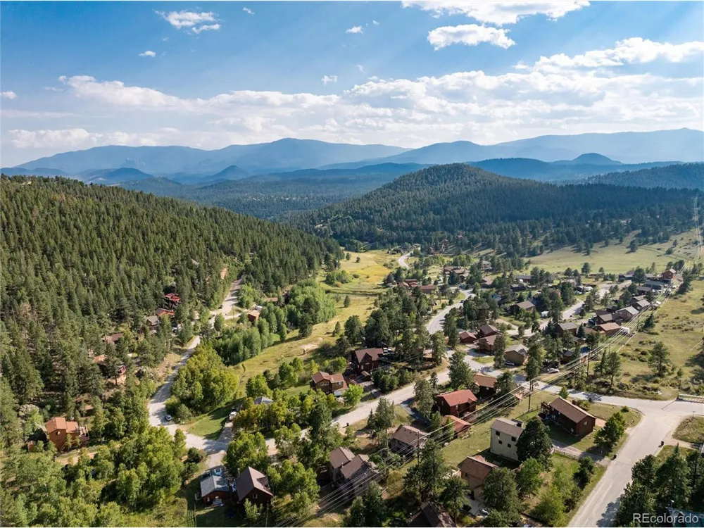 65 Silver Springs Road Bailey, CO 80421