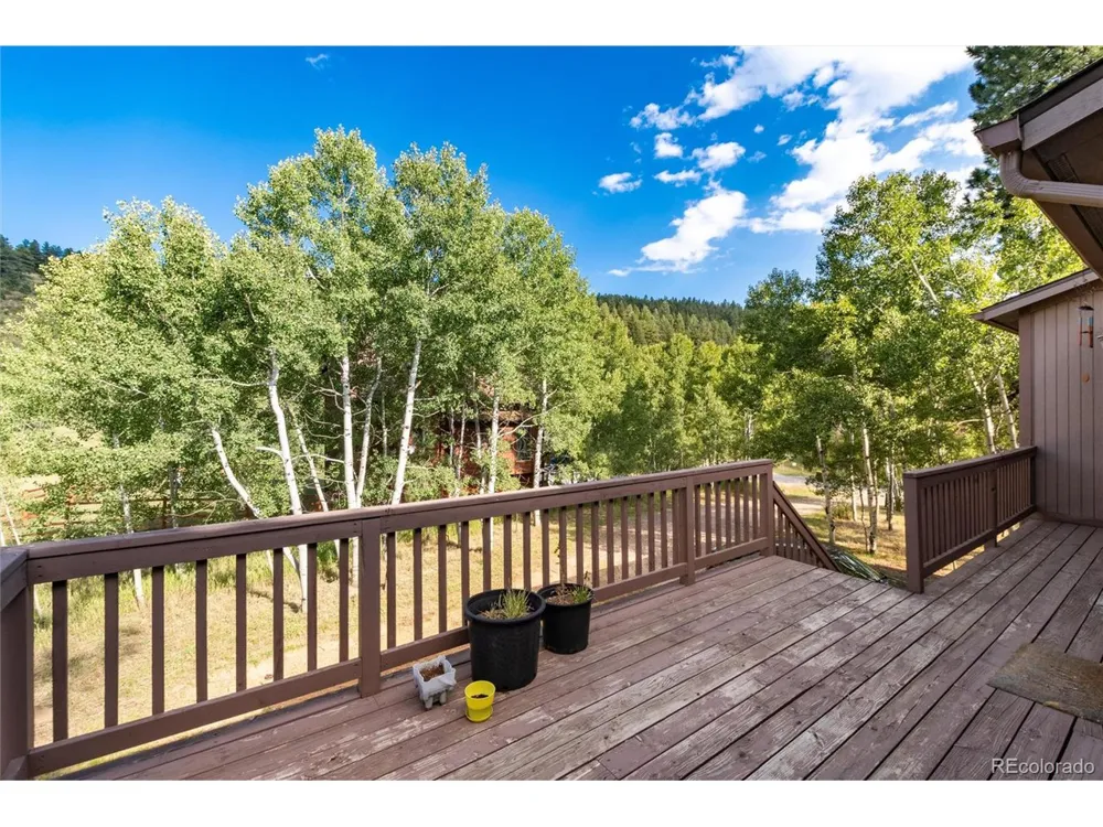 65 Silver Springs Road Bailey, CO 80421